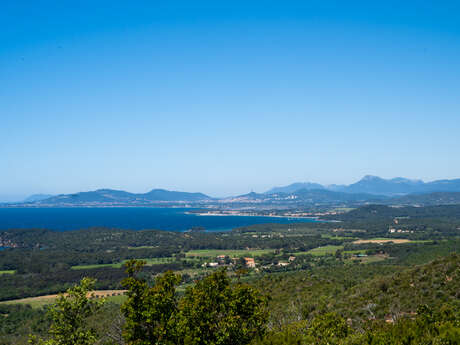 Vignerons sous les étoiles - Gastronomie & vins, les pieds dans l’eau