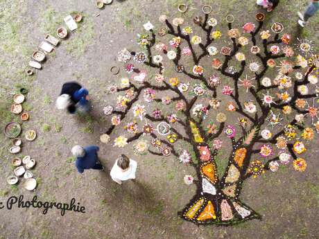 Collective creation of a plant fresco...