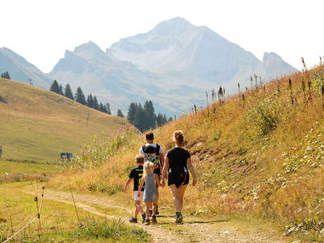 Hiking trail: Tour de l'Andran