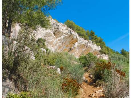 La Roche Curade (Der Felsen)