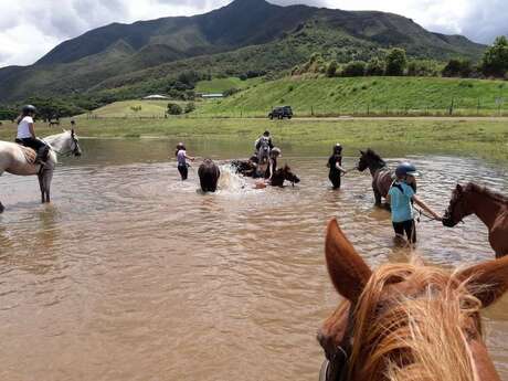 Balade à poney au parc provincial de Dumbéa - Yala Ranch