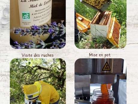 La miellerie de Banon