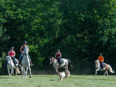 Balades et randonnées à cheval