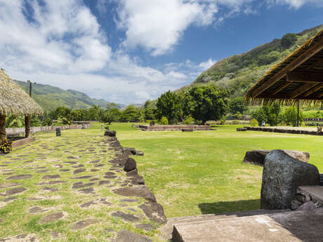 Te Aitua Site