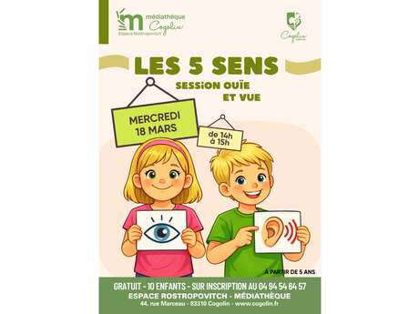 Attività sensoriale