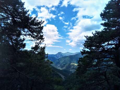 Trail n°5 - Crêtes de Fissac