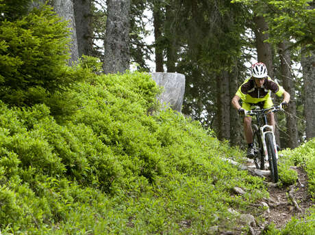 Enduro MTB - L'UTB