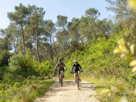 SAINT REMY DE PROVENCE - Valampe et les Cascades en VTT