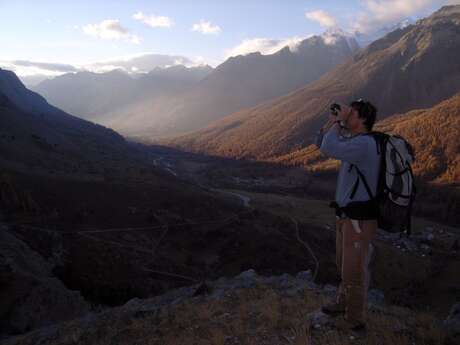Ciné-Vallouise : "Bouquetin"