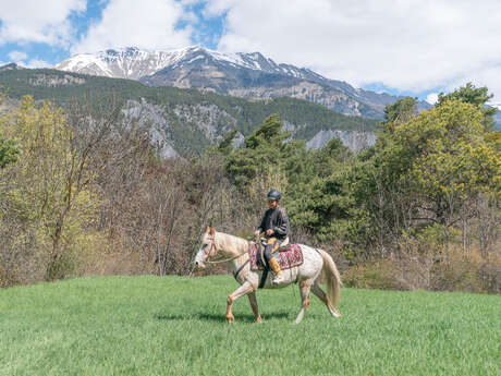 Ubaye à Cheval