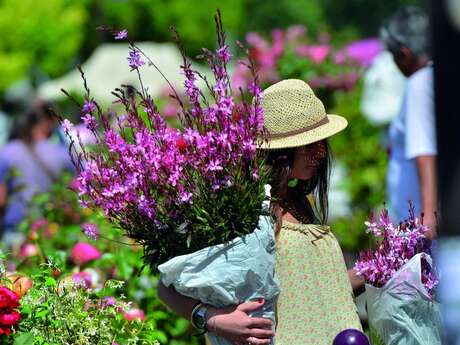43ème Marché aux fleurs
