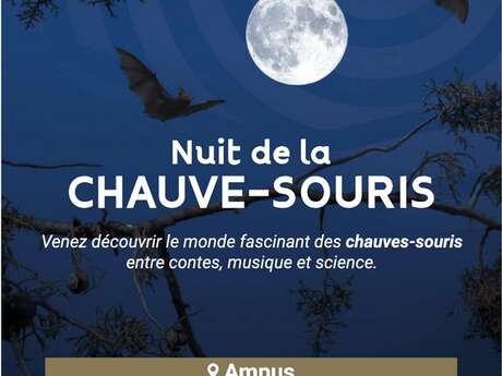 Nuit de la chauve-souris