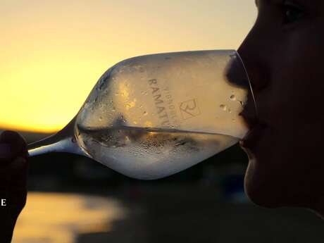 Vignobles de Ramatuelle