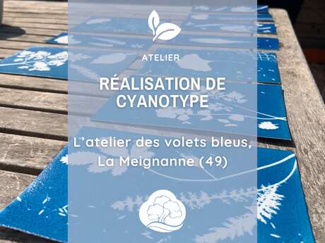 Atelier : Réalisation de cyanotype