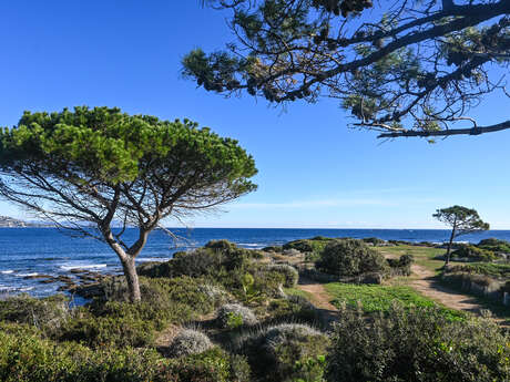 La Pointe des Sardinaux