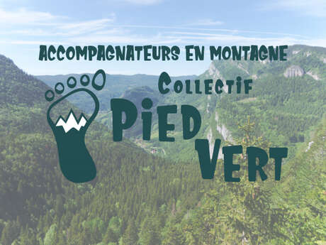 En Quête d'insectes (rando / balade thématique)
