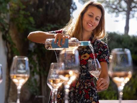 Porquerolles Wine Land