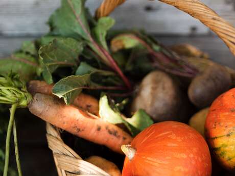 Tournée des neiges : découvrir les filières laitières, viandes, fruits & légumes