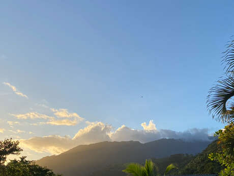 Papara Mountain Side
