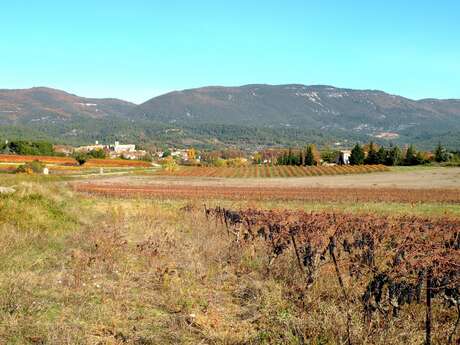 CUCURON-VAUGINES - Chemin de pelerinage