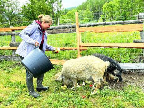 Expérience "Fermier.es d'un soir" - La Petite Ferme des Regains