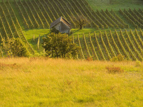 Excursion: From Cerdon vineyards to the Ain Valley