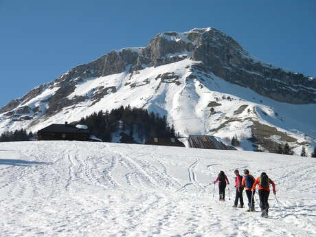 Randonnée raquettes : Les Chalets de la Fullie depuis Ecole en Bauges