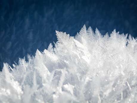 Un hiver complétement givré - conte musical