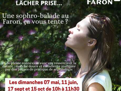 Sophro-balade au sommet du Faron