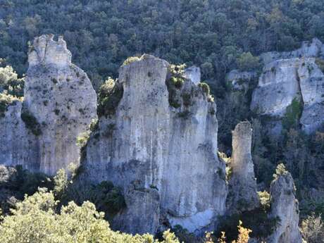 SIGNES - Les Aiguilles de Valbelle