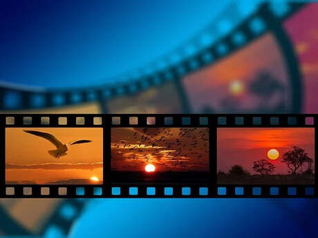 Festival du film environnemental
