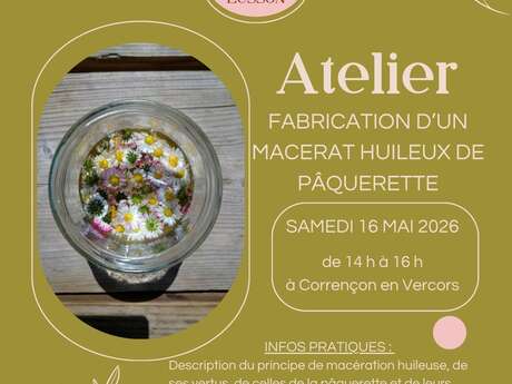 Atelier fabrication d'un macérat huileux de pâquerette