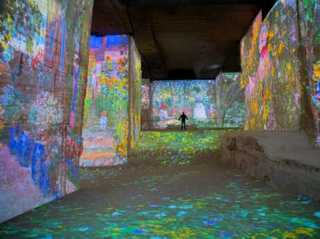 Excursion : Les Baux-de-Provence et les Carrières de Lumières - BJ5