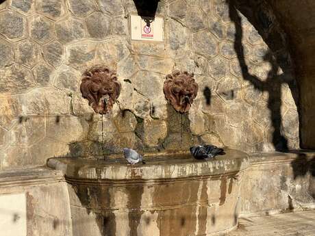 La Fontaine aux Lions