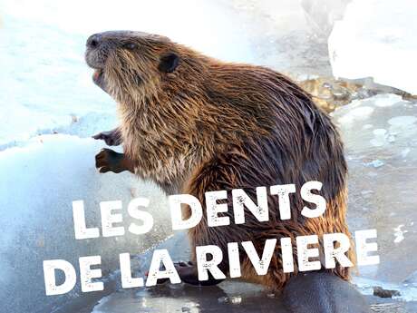 Les dents de la rivière