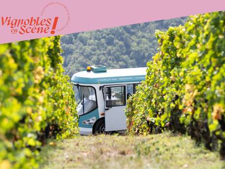 Côte-Rôtie Tour de Vignobles en Scène