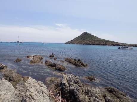 Sur les traces des Douaniers