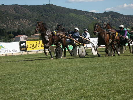 Course hippiques "Trophée vert"