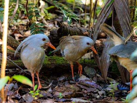 Guided Tour at Blue River Provincial Park - ETIC NC