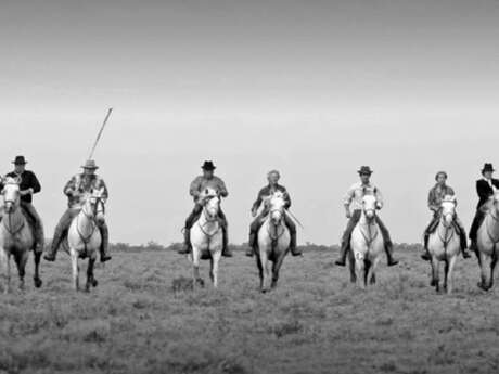 Balade à cheval à la manade Saliérène