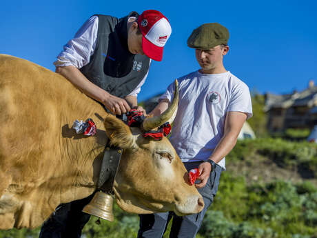 Transhum'en fête - La montée en alpage
