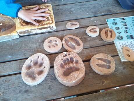 Animations estivales - Balade sur le Sentier du Fer et atelier "Empreintes d'animaux"