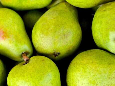 Marché du jeudi (5 exposants)