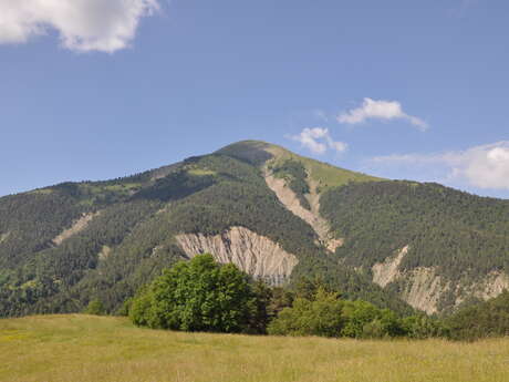 Trail N° 8 : KMV Le Blayeul - Très difficile - 4,6km