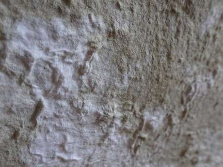 Stage pâte à papier