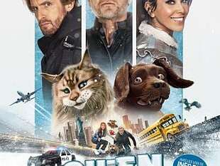 Cinétoiles - CHIEN ET CHAT