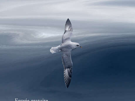 Expostion photographique "Chemins du nord"