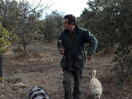 Chasse à la truffe