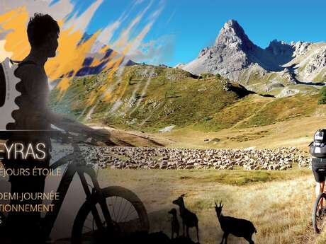 Alligatti Biking