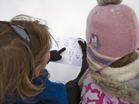 Le partage de la montagne